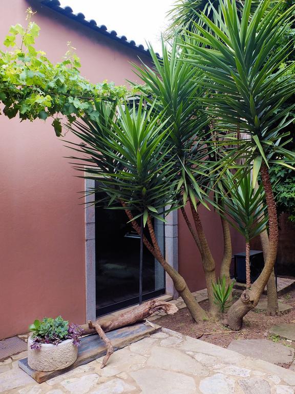 Family Secrets Santo Andre Villa Santa Maria da Feira Ngoại thất bức ảnh